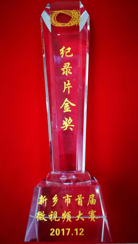 17、獎(jiǎng)杯：紀(jì)錄片金獎(jiǎng)_愛奇藝